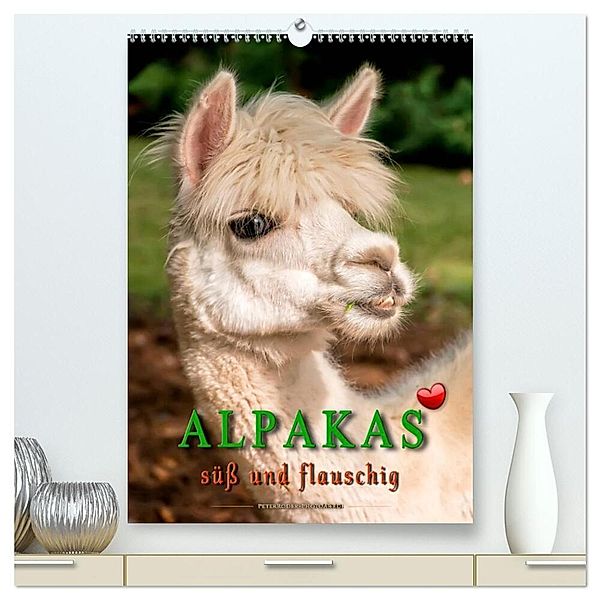 Alpakas - süss und flauschig (hochwertiger Premium Wandkalender 2024 DIN A2 hoch), Kunstdruck in Hochglanz, Peter Roder