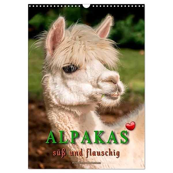 Alpakas - süß und flauschig (Wandkalender 2024 DIN A3 hoch), CALVENDO Monatskalender, Peter Roder