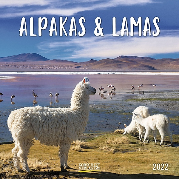 Alpakas und Lamas 2022