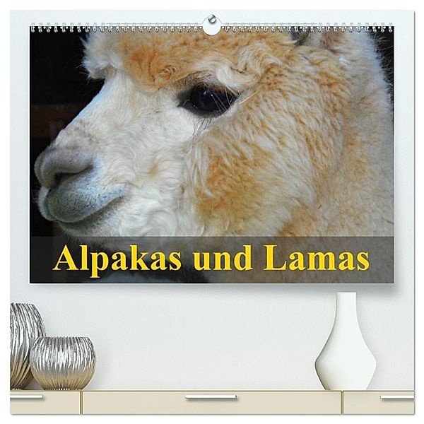 Alpakas und Lamas (hochwertiger Premium Wandkalender 2024 DIN A2 quer), Kunstdruck in Hochglanz, Elisabeth Stanzer