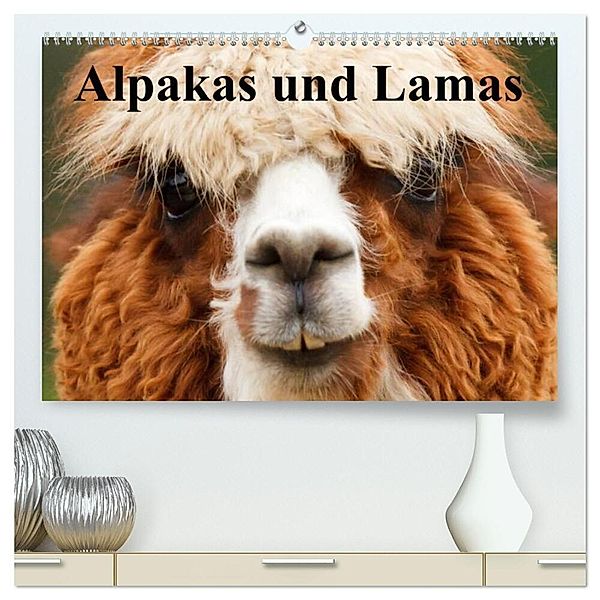 Alpakas und Lamas (hochwertiger Premium Wandkalender 2024 DIN A2 quer), Kunstdruck in Hochglanz, Elisabeth Stanzer