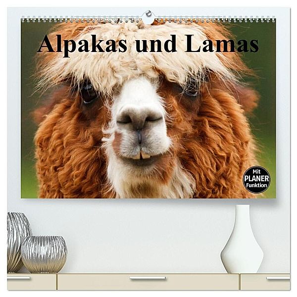 Alpakas und Lamas (hochwertiger Premium Wandkalender 2024 DIN A2 quer), Kunstdruck in Hochglanz, Elisabeth Stanzer