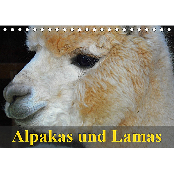 Alpakas und Lamas (Tischkalender 2019 DIN A5 quer), Elisabeth Stanzer