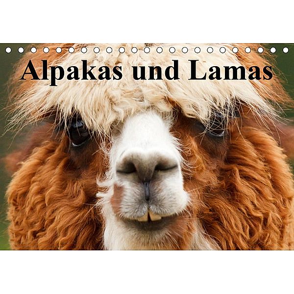 Alpakas und Lamas (Tischkalender 2021 DIN A5 quer), Elisabeth Stanzer
