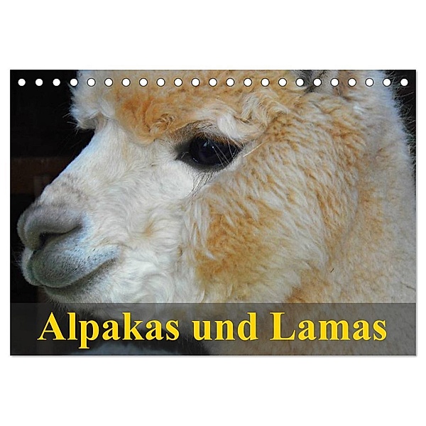 Alpakas und Lamas (Tischkalender 2025 DIN A5 quer), CALVENDO Monatskalender, Calvendo, Elisabeth Stanzer