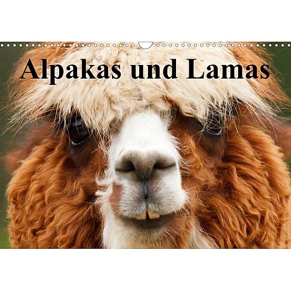 Alpakas und Lamas (Wandkalender 2023 DIN A3 quer), Elisabeth Stanzer