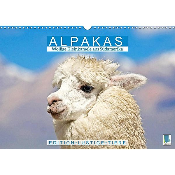 Alpakas: Wollige Kleinkamele aus Südamerika - Edition lustige Tiere (Wandkalender 2023 DIN A3 quer), Calvendo