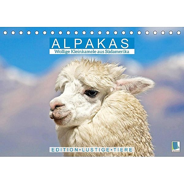 Alpakas: Wollige Kleinkamele aus Südamerika - Edition lustige Tiere (Tischkalender 2023 DIN A5 quer), Calvendo