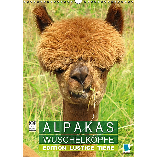 Alpakas: Wuschelk?pfe - Edition lustige Tiere (Wandkalender 2019 DIN A3 hoch), Calvendo