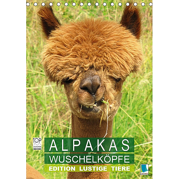 Alpakas: Wuschelk?pfe - Edition lustige Tiere (Tischkalender 2019 DIN A5 hoch), Calvendo