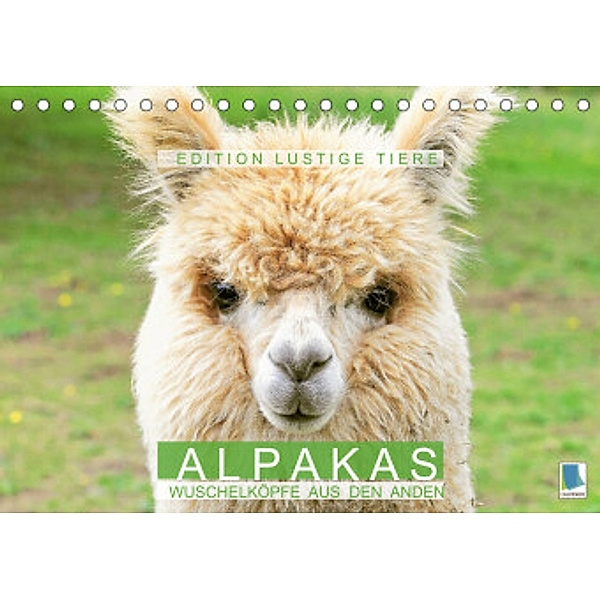 Alpakas: Wuschelköpfe aus den Anden - Edition lustige Tiere (Tischkalender 2022 DIN A5 quer), Calvendo