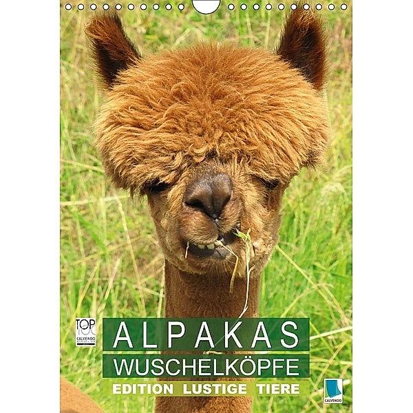 Alpakas: Wuschelköpfe - Edition lustige Tiere (Wandkalender 2018 DIN A4 hoch), Calvendo