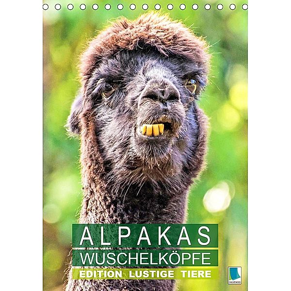 Alpakas: Wuschelköpfe - Edition lustige Tiere (Tischkalender 2020 DIN A5 hoch)