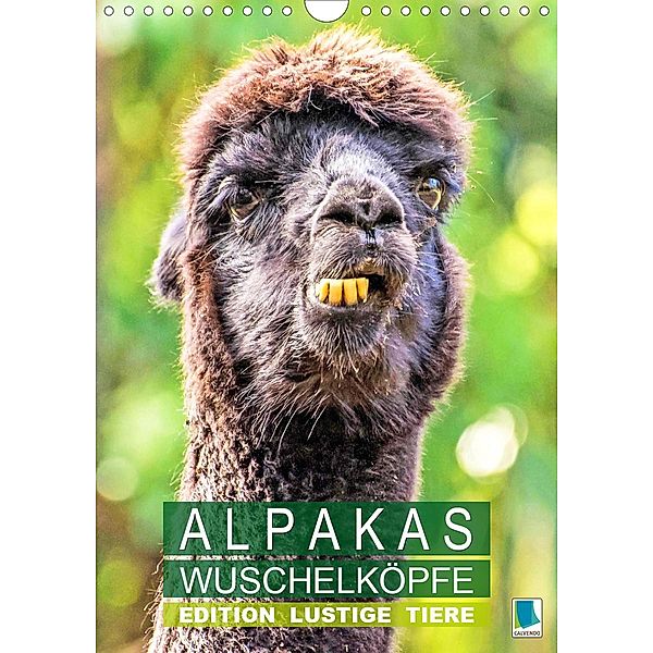 Alpakas: Wuschelköpfe - Edition lustige Tiere (Wandkalender 2020 DIN A4 hoch)