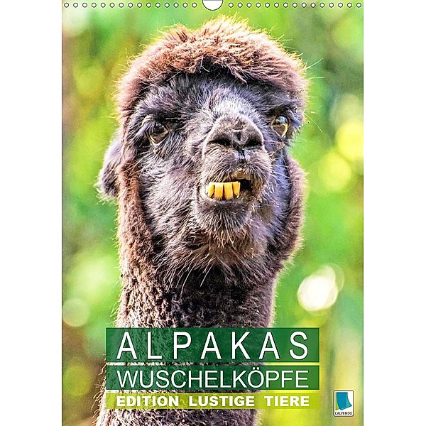 Alpakas: Wuschelköpfe - Edition lustige Tiere (Wandkalender 2021 DIN A3 hoch), Calvendo