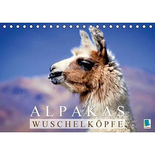 Alpakas: Wuschelköpfe (Tischkalender 2015 DIN A5 quer), Calvendo