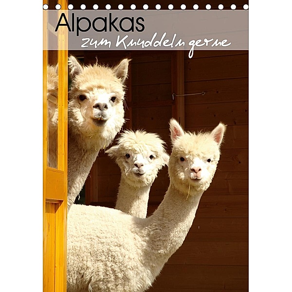 Alpakas zum Knuddeln gerne (Tischkalender 2021 DIN A5 hoch), Heidi Rentschler