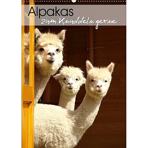 Alpakas zum Knuddeln gerne (Wandkalender 2019 DIN A2 hoch), Heidi Rentschler