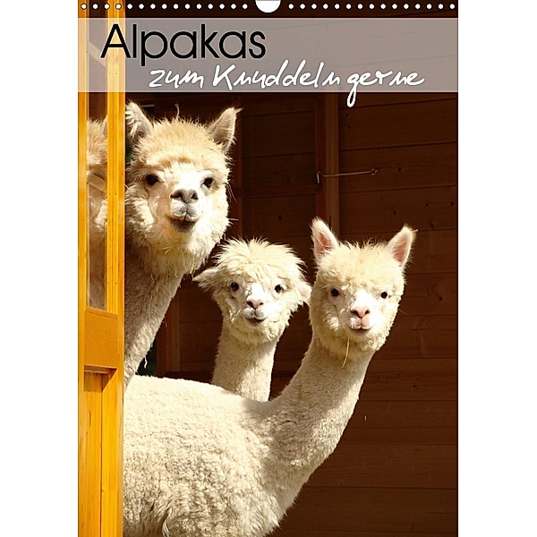 Alpakas zum Knuddeln gerne (Wandkalender 2021 DIN A3 hoch), Heidi Rentschler