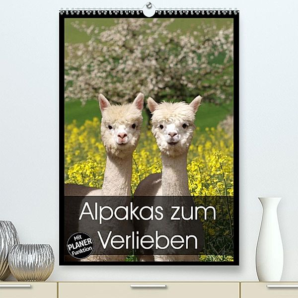 Alpakas zum Verlieben (Premium, hochwertiger DIN A2 Wandkalender 2023, Kunstdruck in Hochglanz), Heidi Rentschler