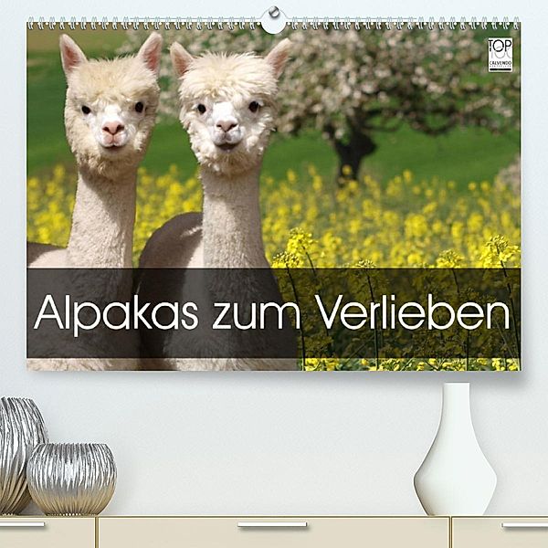 Alpakas zum Verlieben (Premium, hochwertiger DIN A2 Wandkalender 2023, Kunstdruck in Hochglanz), Heidi Rentschler