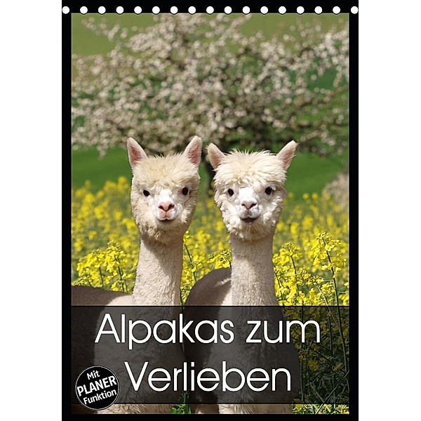 Alpakas zum Verlieben (Tischkalender 2020 DIN A5 hoch), Heidi Rentschler