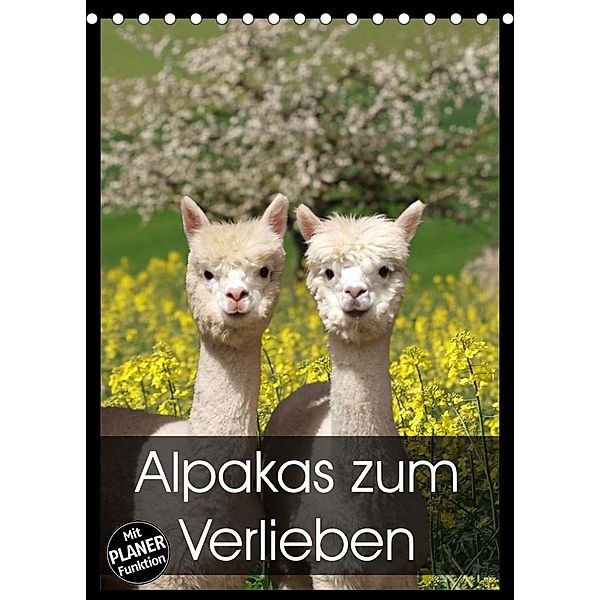 Alpakas zum Verlieben (Tischkalender 2023 DIN A5 hoch), Heidi Rentschler