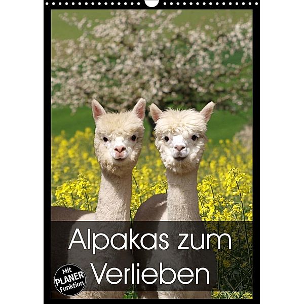 Alpakas zum Verlieben (Wandkalender 2023 DIN A3 hoch), Heidi Rentschler
