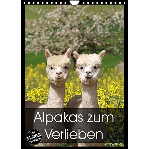 Alpakas zum Verlieben (Wandkalender 2023 DIN A4 hoch), Heidi Rentschler