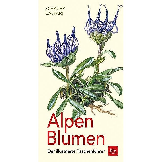 Alpen-Blumen Buch von Stefan Caspari bei Weltbild.ch bestellen