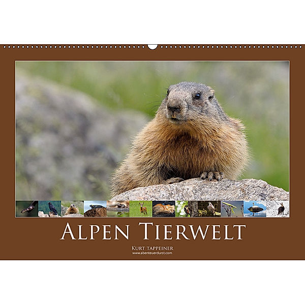 Alpen Tierwelt (Wandkalender 2019 DIN A2 quer), Kurt Tappeiner