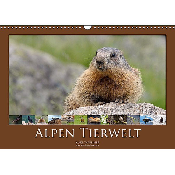 Alpen Tierwelt (Wandkalender 2019 DIN A3 quer), Kurt Tappeiner