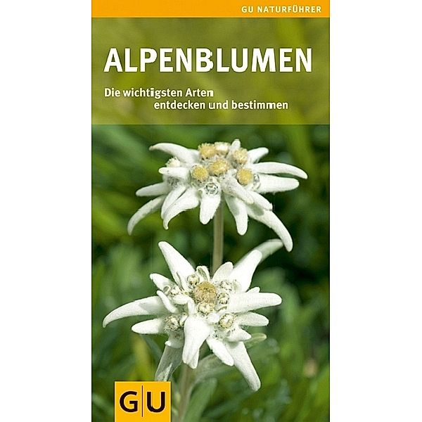 Alpenblumen, Helga Hofmann