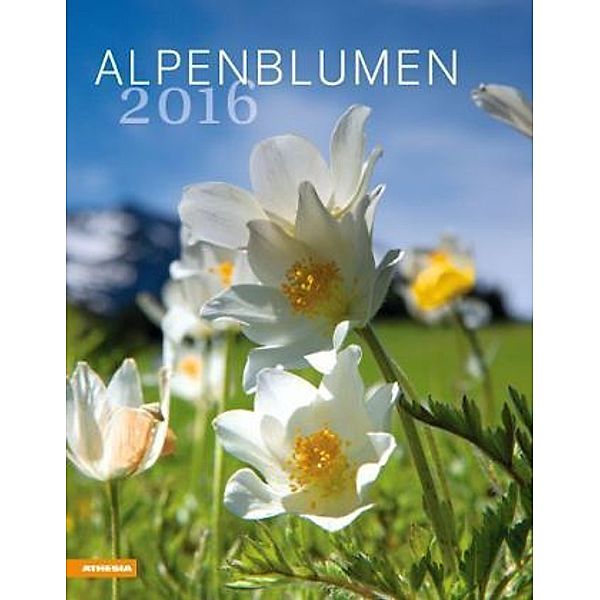 Alpenblumen 2016