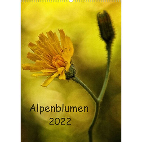 Alpenblumen 2022 (Wandkalender 2022 DIN A2 hoch), Hernegger Arnold