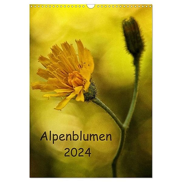 Alpenblumen 2024 (Wandkalender 2024 DIN A3 hoch), CALVENDO Monatskalender, Hernegger Arnold