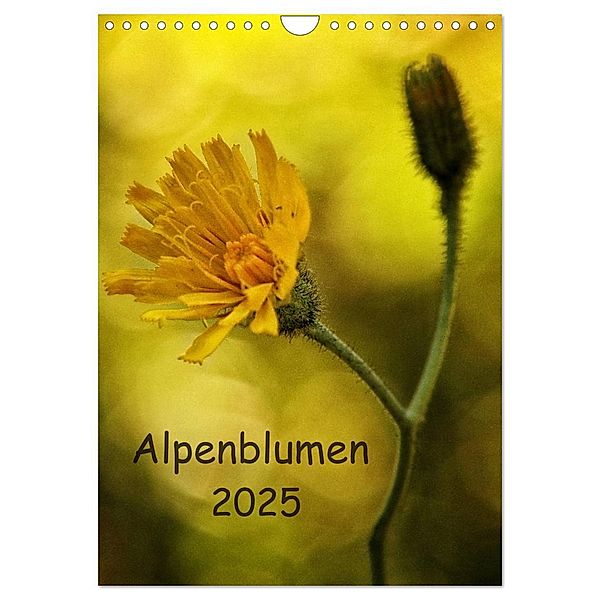 Alpenblumen 2025 (Wandkalender 2025 DIN A4 hoch), CALVENDO Monatskalender, Calvendo, Hernegger Arnold