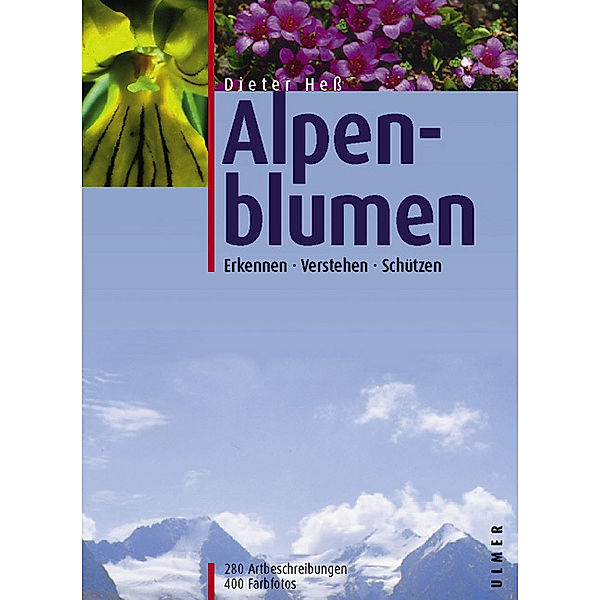 Alpenblumen, Dieter Hess