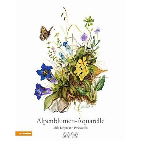 Alpenblumen-Aquarelle 2016, Mila Lippmann Pawlowski
