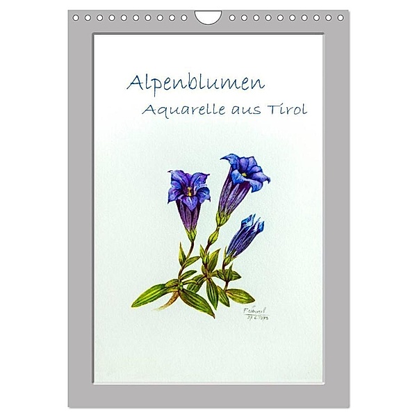 Alpenblumen Aquarelle aus Tirol (Wandkalender 2024 DIN A4 hoch), CALVENDO Monatskalender, Peter Überall