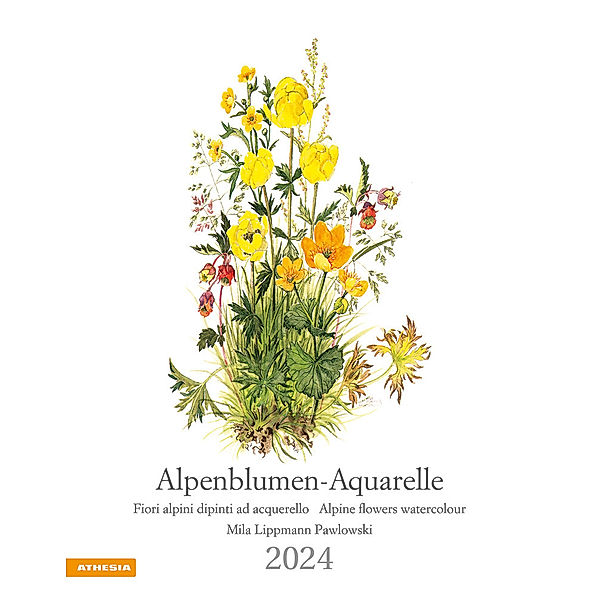 Alpenblumen-Aquarelle Kalender 2024