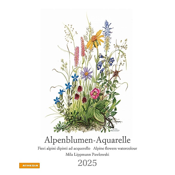 Alpenblumen-Aquarelle Kalender 2025