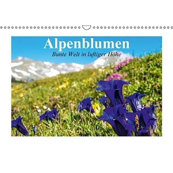 Alpenblumen. Bunte Welt in luftiger Höhe (Wandkalender 2016 DIN A3 quer), Elisabeth Stanzer