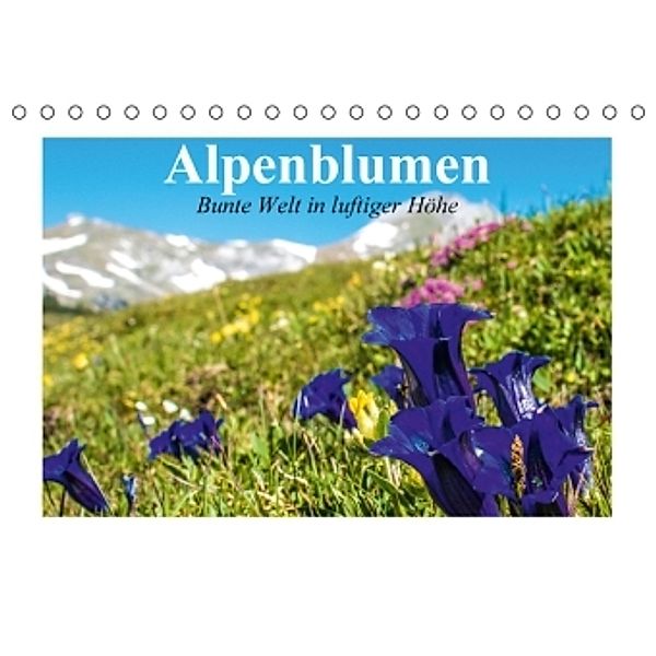 Alpenblumen. Bunte Welt in luftiger Höhe (Tischkalender 2016 DIN A5 quer), Elisabeth Stanzer