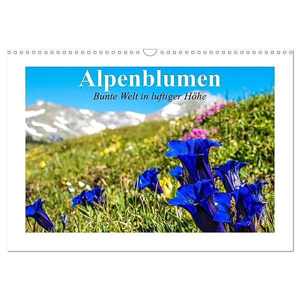 Alpenblumen. Bunte Welt in luftiger Höhe (Wandkalender 2024 DIN A3 quer), CALVENDO Monatskalender, Elisabeth Stanzer