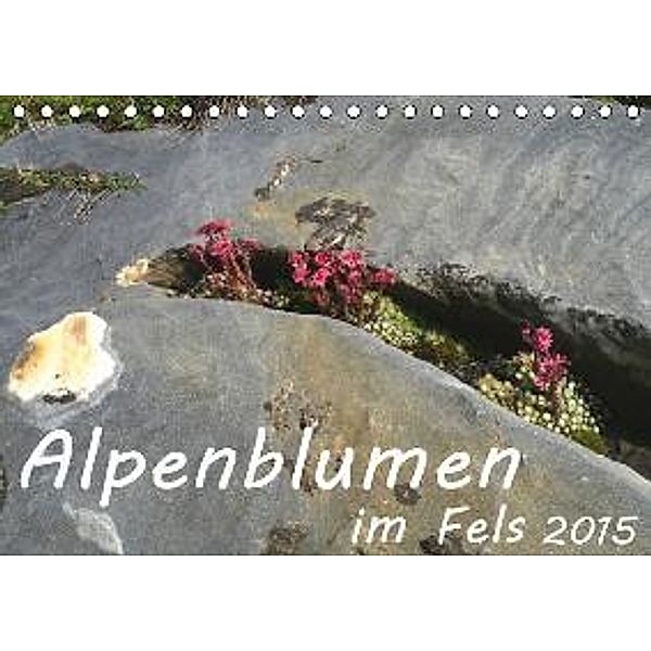 Alpenblumen im Fels (Tischkalender 2015 DIN A5 quer), Stefanie Goldscheider