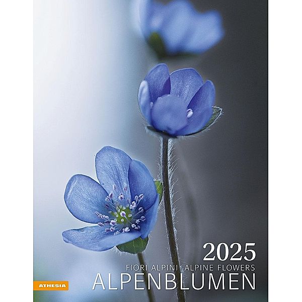Alpenblumen Kalender 2025