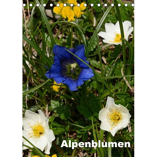 Alpenblumen (Tischkalender 2022 DIN A5 hoch), Willi Haas