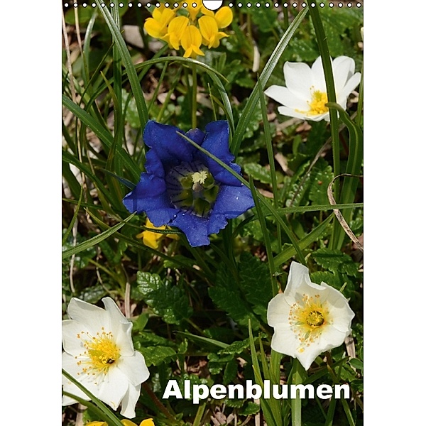 Alpenblumen (Wandkalender 2018 DIN A3 hoch), Willi Haas