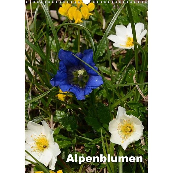 Alpenblumen (Wandkalender 2023 DIN A3 hoch), Willi Haas